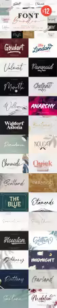 All Item Font Bundles - 51 Premium Fonts