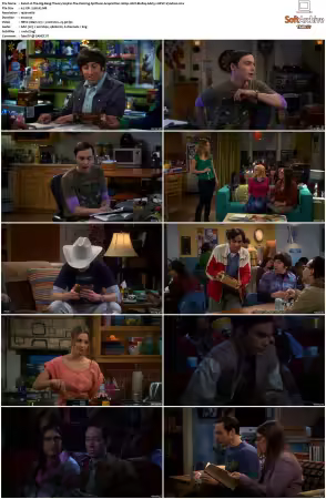 The Big Bang Theory 2007 Season 5 S05 1080p BluRay x265 HEVC 10bit AAC 5.1 Vyndros