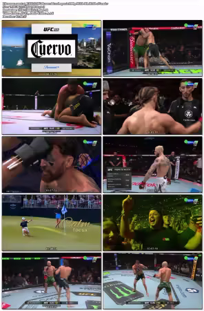 UFC 325 Volkanovski vs Lopes 2 1080p WEB-DL H264-nVa