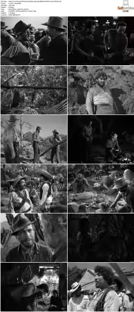 The Treasure Of The Sierra Madre 1948 1080p BDRip DTS HEVC x265-PoPCoRn