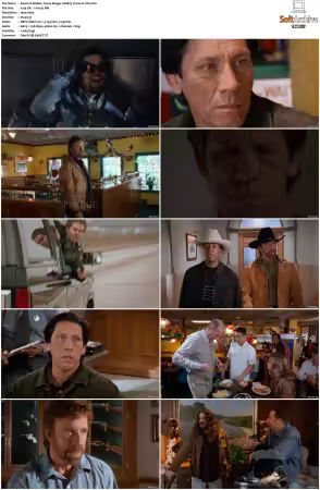 Walker Texas Ranger 1993 S01-S09 1080p WEB-DL H265 10bit DDP2.0-Zero00