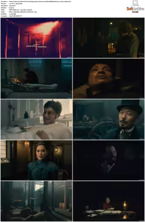 Warrior S01 S03 1080p WebRip EAC3 5.1 x265-Lootera
