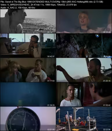 The Big Blue 1988 EXTENDED MULTI DVDRip 10bit x265 AAC-Hellsing989