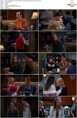 The Big Bang Theory 2007 Season 5 S05 1080p BluRay x265 HEVC 10bit AAC 5.1 Vyndros