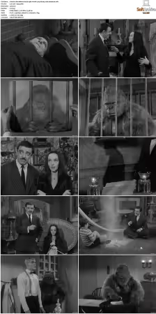 The Addams Family 1964 S01 720p BluRay x264-BROADCAST