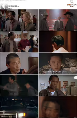 Walker Texas Ranger 1993 S01-S09 1080p WEB-DL H265 10bit DDP2.0-Zero00
