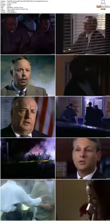 The F.B.I. Files S01 S07 AMZN WEB-DL DDP2.0 H264-playWEB