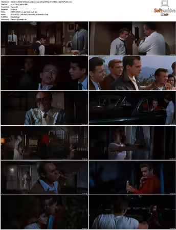 Rebel Without A Cause 1955 1080p BDRip DTS HEVC x265-PoPCoRn