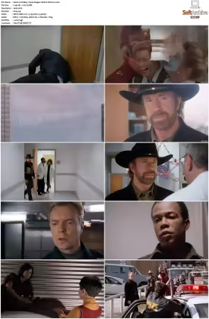 Walker Texas Ranger 1993 S01-S09 1080p WEB-DL H265 10bit DDP2.0-Zero00