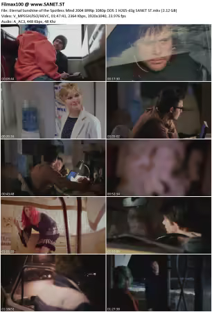 Eternal Sunshine of the Spotless Mind 2004 BRRip 1080p DD5.1 H265-d3g
