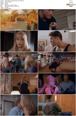 Walker Texas Ranger 1993 S01-S09 1080p WEB-DL H265 10bit DDP2.0-Zero00