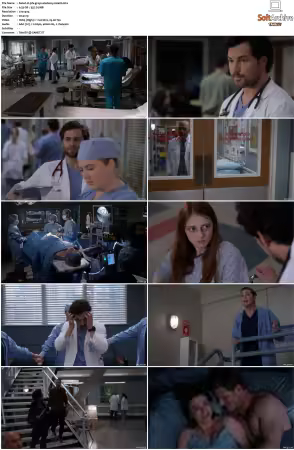 Greys Anatomy S16 DVDRip x264-PFa
