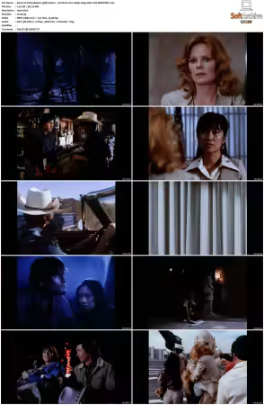 China Beach 1988 S01-S04 1080p H265 AAC 2CH-MNKYDDL