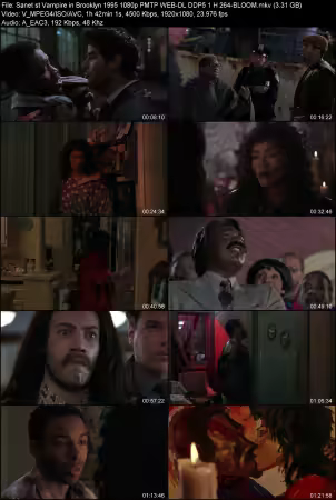Vampire in Brooklyn 1995 1080p PMTP WEB-DL DDP 5.1 H264-BLOOM