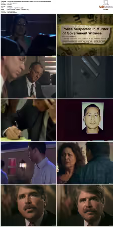 The F.B.I. Files S01 S07 AMZN WEB-DL DDP2.0 H264-playWEB