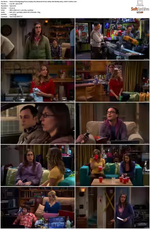 The Big Bang Theory 2007 Season 5 S05 1080p BluRay x265 HEVC 10bit AAC 5.1 Vyndros