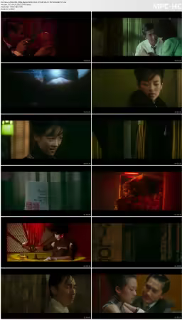 2046 2004 1080p BluRay REMUX AVC DTS HD MA 5.1-TRiToN