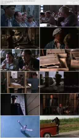The Shawshank Redemption 1994 BluRay 1080p x265 10bit 5Audio MNHD-FRDS