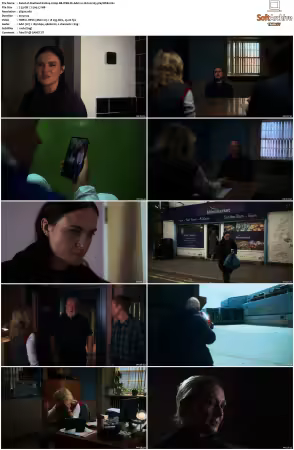 Shetland S10 2160p BB WEB-DL AAC2.0 HLG H265-playWEB