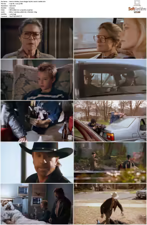Walker Texas Ranger 1993 S01-S09 1080p WEB-DL H265 10bit DDP2.0-Zero00