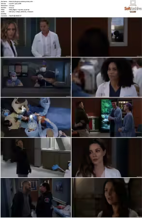 Greys Anatomy S16 DVDRip x264-PFa