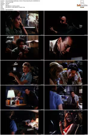 China Beach 1988 S01-S04 1080p H265 AAC 2CH-MNKYDDL