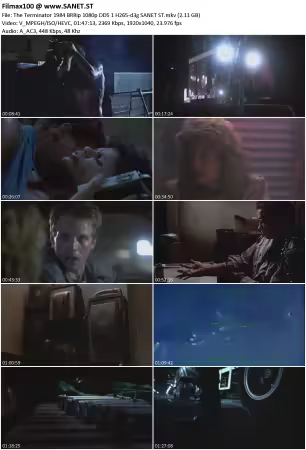 The Terminator 1984 BRRip 1080p DD5.1 H265-d3g