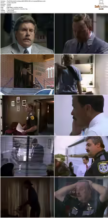 The F.B.I. Files S01 S07 AMZN WEB-DL DDP2.0 H264-playWEB