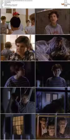 The Wonder Years S01-S06 NTSC DVD REMUX MPEG2 DD 2.0 Homecoming-Rmp4L