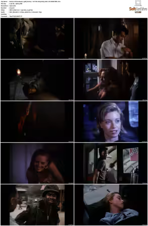 China Beach 1988 S01-S04 1080p H265 AAC 2CH-MNKYDDL