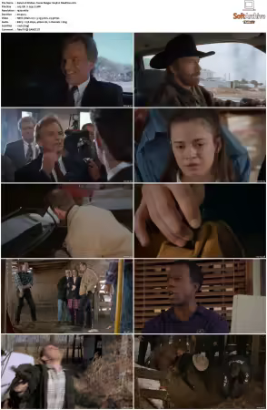 Walker Texas Ranger 1993 S01-S09 1080p WEB-DL H265 10bit DDP2.0-Zero00