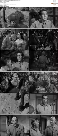 Francis 1950 1080p BDRip DTS HEVC x265-PoPCoRn