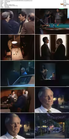 The FBI Files S01 S07 AMZN WEB-DL DDP2.0 H264-playWEB