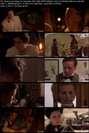 Like Water For Chocolate 1992 1080p PMTP WEB-DL AAC 2.0 H264-BLOOM