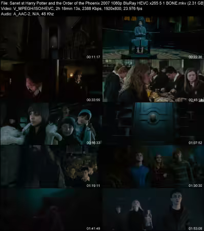 Harry Potter and the Order of the Phoenix 2007 1080p BluRay HEVC x265 5.1 BONE
