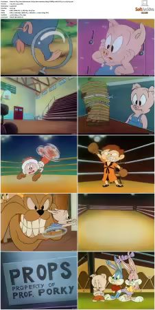 Tiny Toon Adventures 1990 S01-S03 1080p WEBRip 10bit EAC3 2.0 x265-iVy
