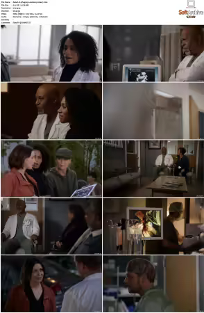 Greys Anatomy S16 DVDRip x264-PFa