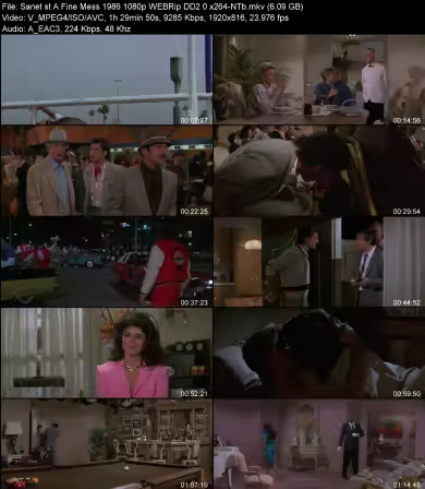 A Fine Mess 1986 1080p WEBRip DD2 0 x264-NTb