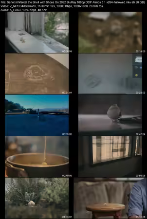 Marcel the Shell with Shoes On 2022 BluRay 1080p DDP Atmos 5.1 x264-hallowed