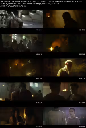 Paul Apostle of Christ 2018 1080p NF WEB-DL DDP 5.1 H264 DuaL-GeneMige
