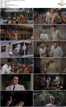 The Spiral Road 1962 1080p BDRip DTS HEVC x265-PoPCoRn