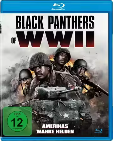 Black Panthers of WWII 2025 1080p BluRay DD 5 1 x264-playHD