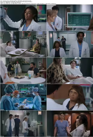 Greys Anatomy S22E11 720p HEVC x265-MeGusta