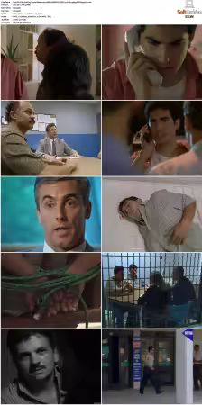 The F.B.I. Files S01 S07 AMZN WEB-DL DDP2.0 H264-playWEB