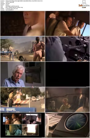Mayday aka Air Crash Investigation S01-S25 1080p WEB-DL DDP5.1 H264-MIXED