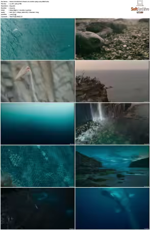 Prehistoric Planet 2022 S01 480p x264-ZMNT