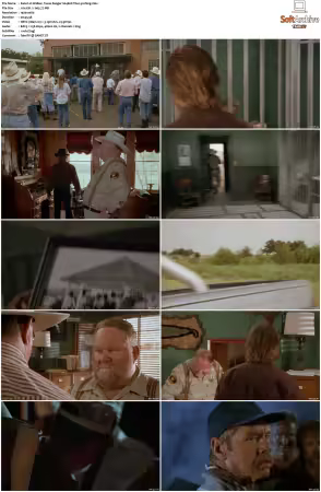 Walker Texas Ranger 1993 S01-S09 1080p WEB-DL H265 10bit DDP2.0-Zero00