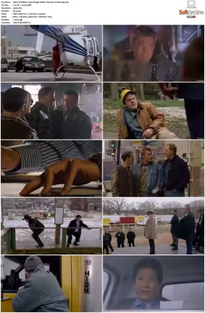 Walker Texas Ranger 1993 S01-S09 1080p WEB-DL H265 10bit DDP2.0-Zero00