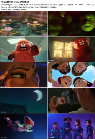 Turning Red 2022 1080p 10bit 60FPS Bluray x265 Dual Audio Hindi+English DD5.1 Esub -DUS-