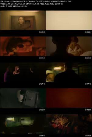 Enter the Void 2010 Directors Cut 1080p BluRay x264-OFT
